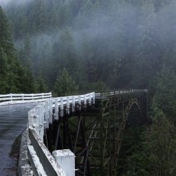 Spanning the Chasm, the Start of  Journey